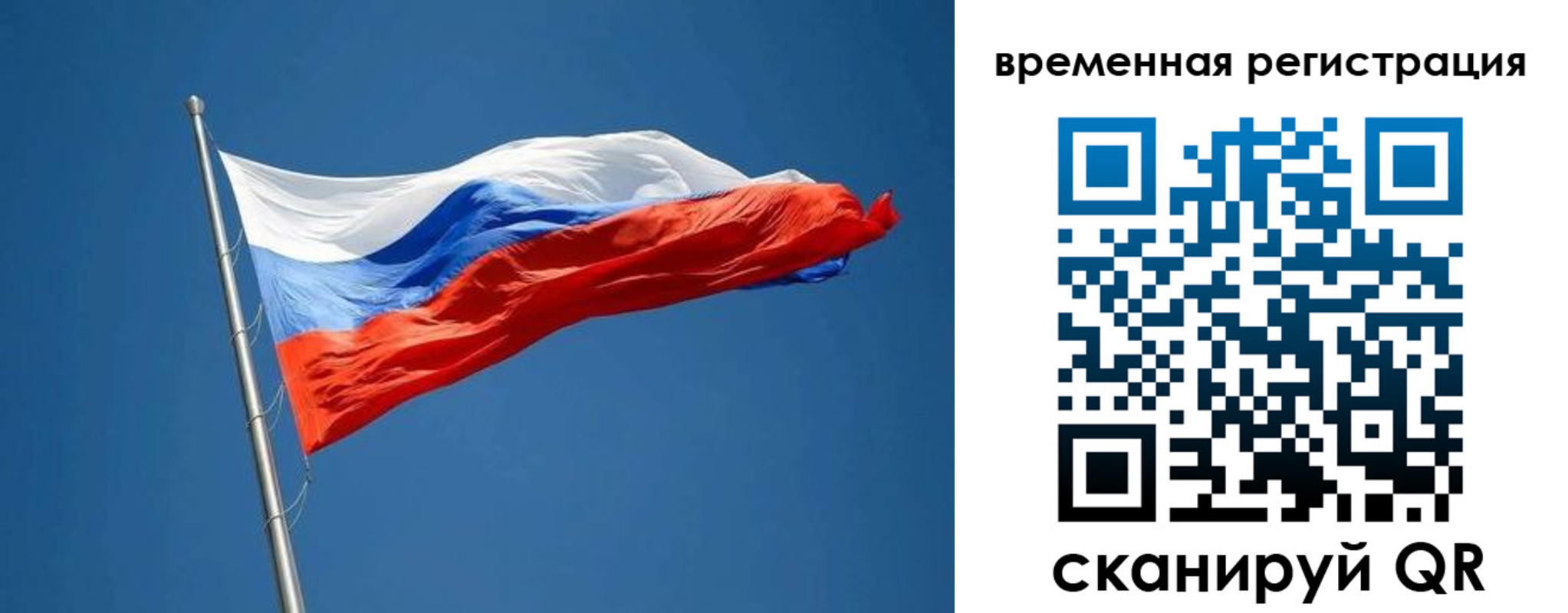прописка законно в Борзе